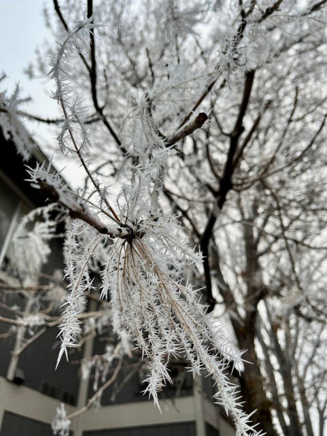 Awesome Winter Art (24 pics)