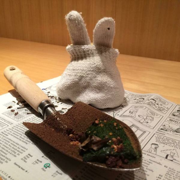 Weird Food Serving (28 pics)