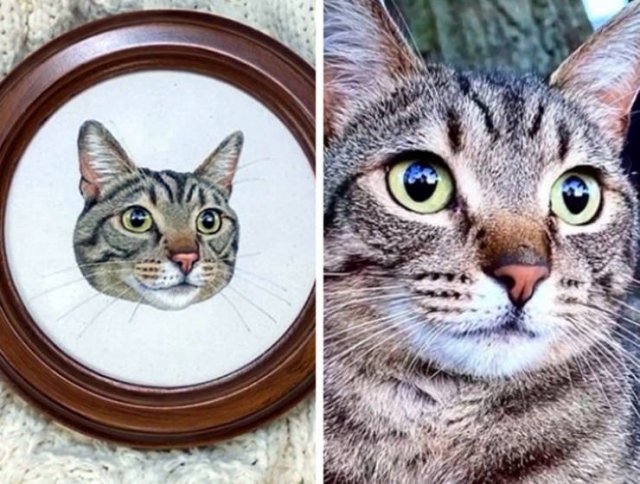 Talented People (29 pics) Talented People (29 pics)