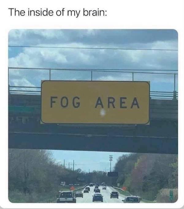 Funny Signs (31 pics)