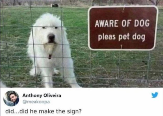 Funny Signs (31 pics)