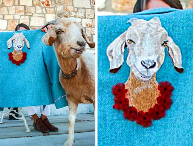 Talented People (29 pics) Talented People (29 pics)