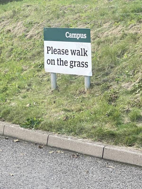 Funny Signs (31 pics)