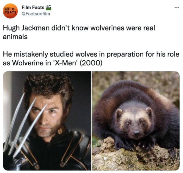 Movie Facts (31 Photos)