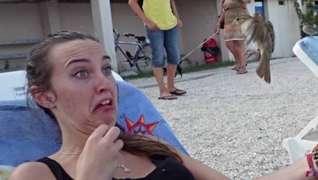 Right Moment (32 pics)