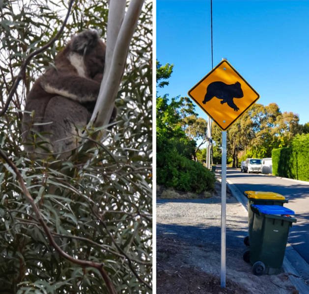 People Share Unusual Things In Their Countries (20 pics) People Share Unusual Things In Their Countries (20 pics)