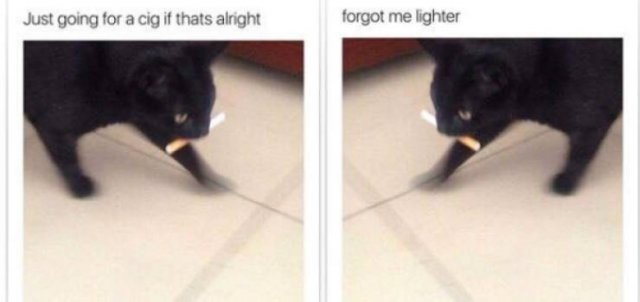 Random Funny Memes (44 pics)
