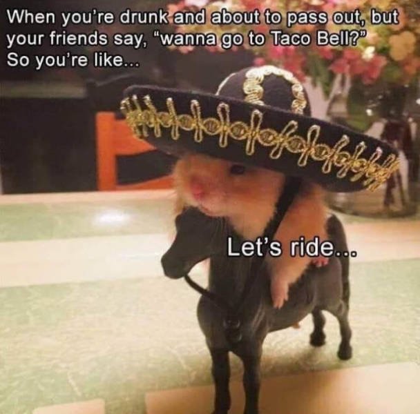 Random Funny Memes (44 pics)