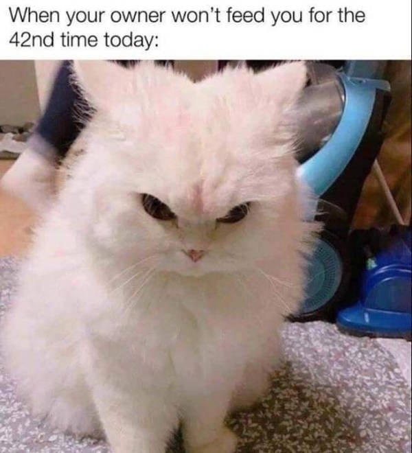 Random Funny Memes (44 pics)