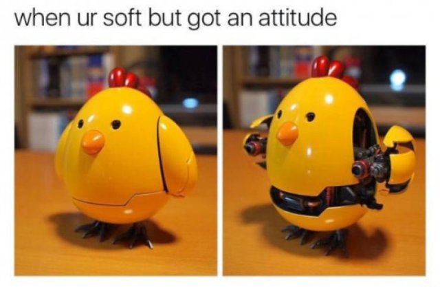 Random Funny Memes (44 pics)