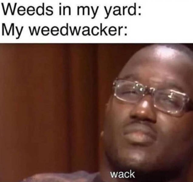Random Funny Memes (44 pics)