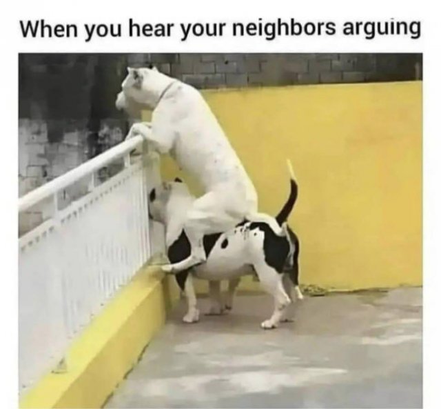 Random Funny Memes (44 pics)