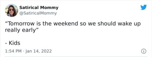 Parenting Tweets (30 pics)