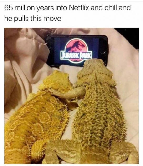Random Funny Memes (44 pics)