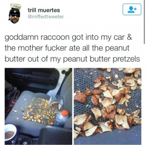 Random Funny Memes (44 pics)