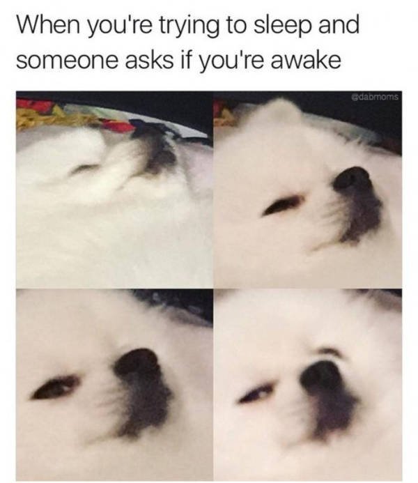 Random Funny Memes (44 pics)