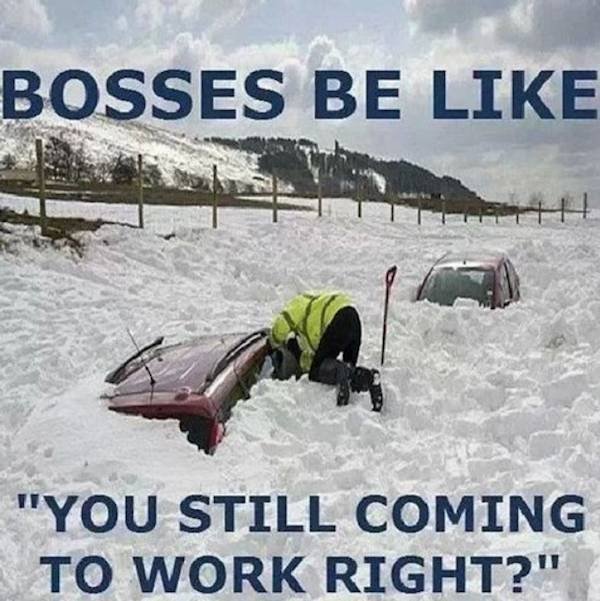 Workplace Memes (26 pics)