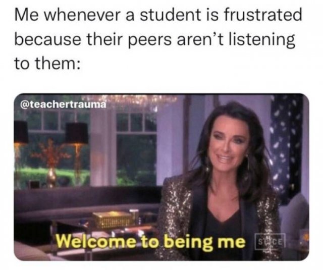 Teachers Memes (30 pics)