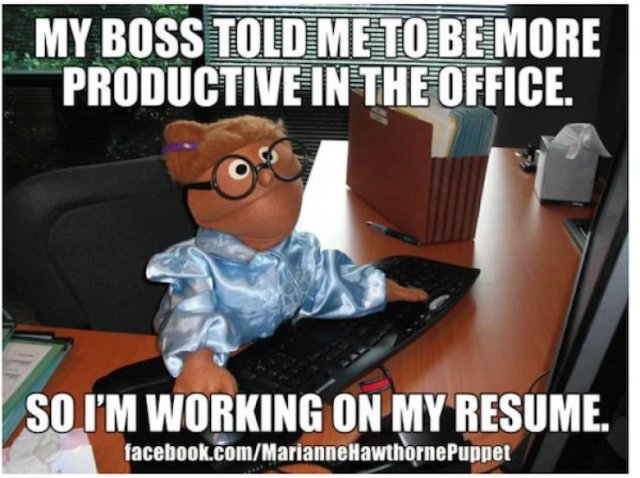 Workplace Memes (26 pics)