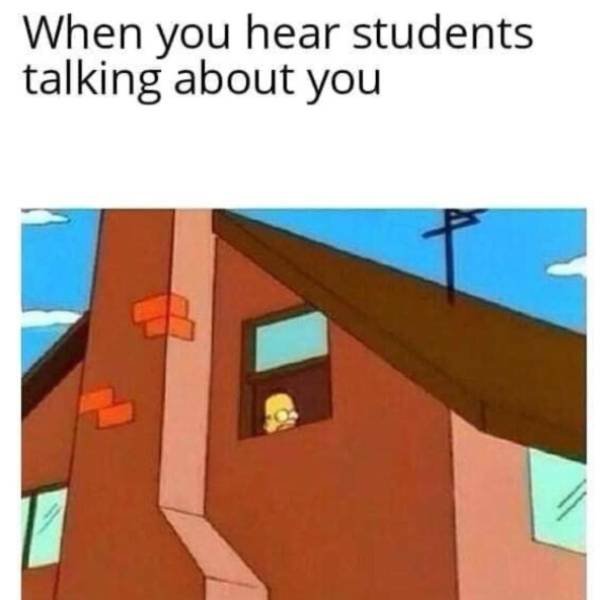 Teachers Memes (30 pics)