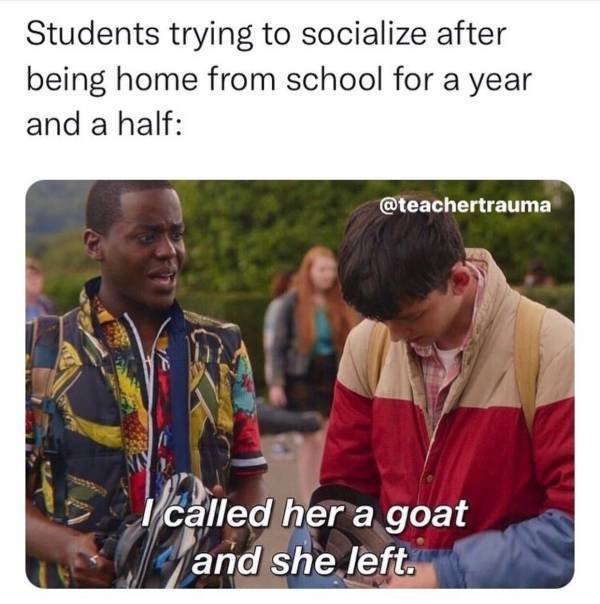 Teachers Memes (30 pics)