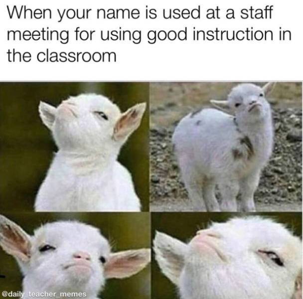 Teachers Memes (30 pics)