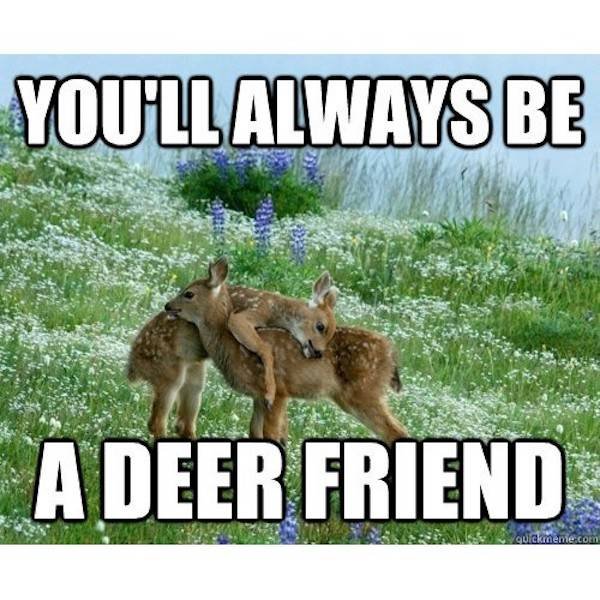 Best Friends Memes (29 pics)