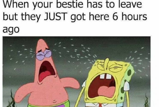 Best Friends Memes (29 pics)