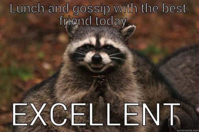 Best Friends Memes (29 pics)