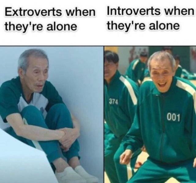 Introvert Memes (30 pics)