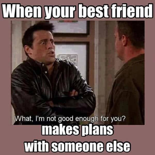 Best Friends Memes (29 pics)