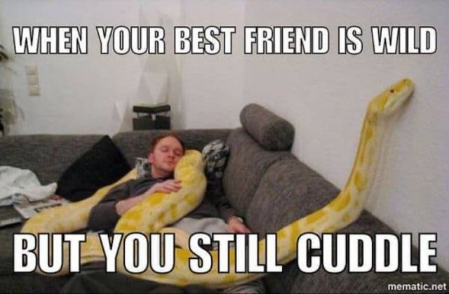 Best Friends Memes (29 pics)