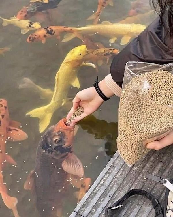 Strange People (39 pics)