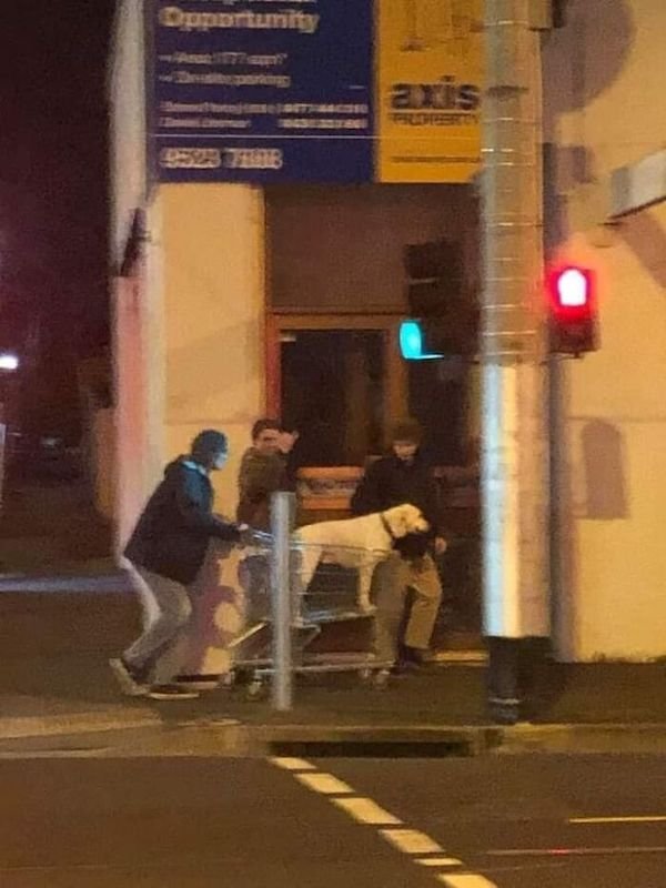 Strange People (39 pics)