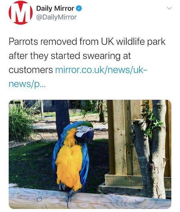 Funny News Headlines (43 pics)