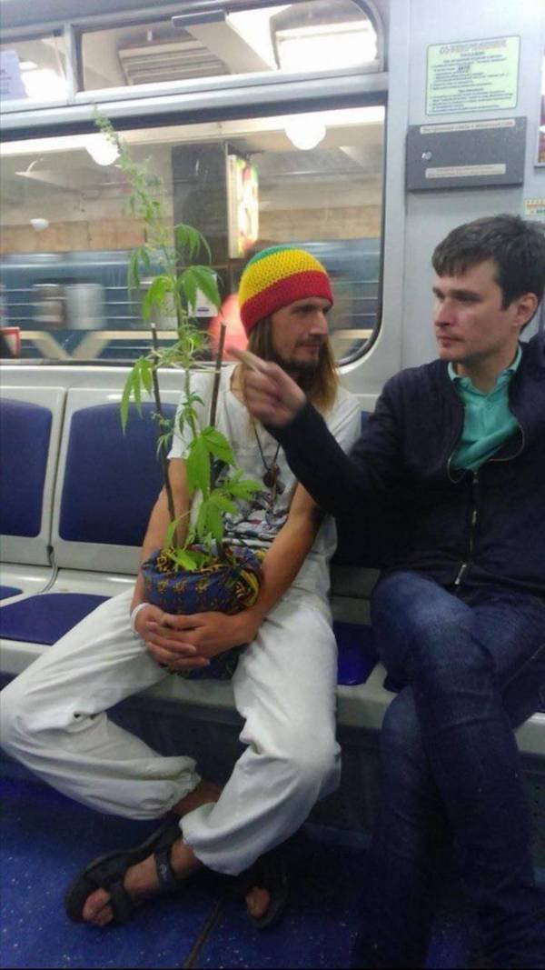 Oddities In The Subway (31 pics)