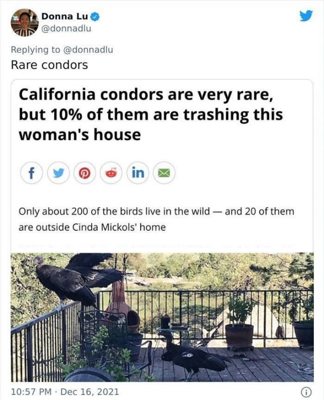Funny News Headlines (43 pics)