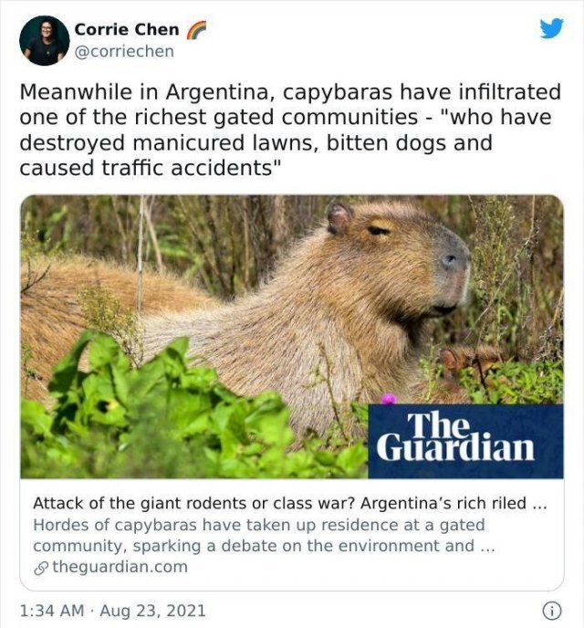 Funny News Headlines (43 pics)
