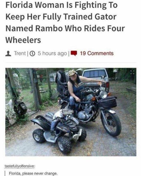 Funny News Headlines (43 pics)