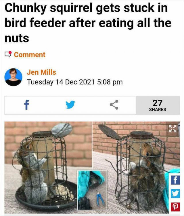 Funny News Headlines (43 pics)