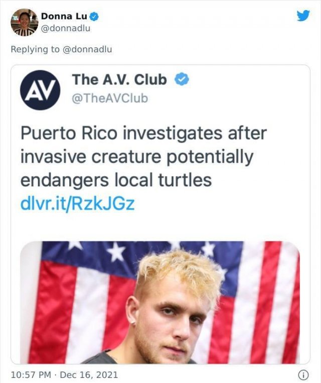 Funny News Headlines (43 pics)