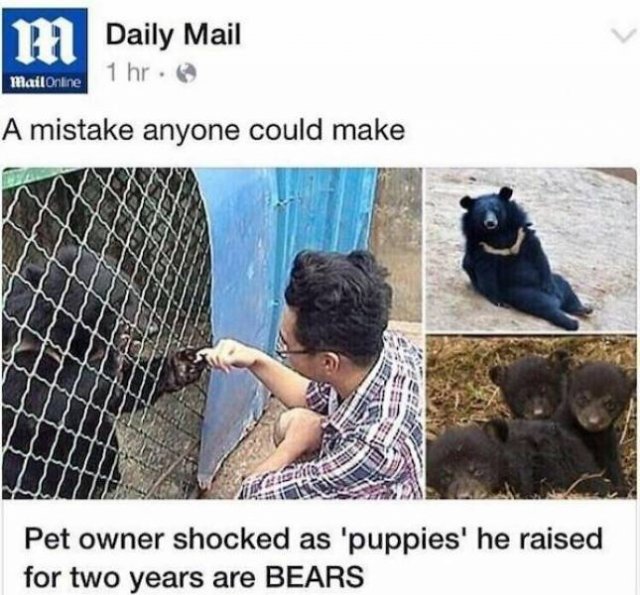 Funny News Headlines (43 pics)