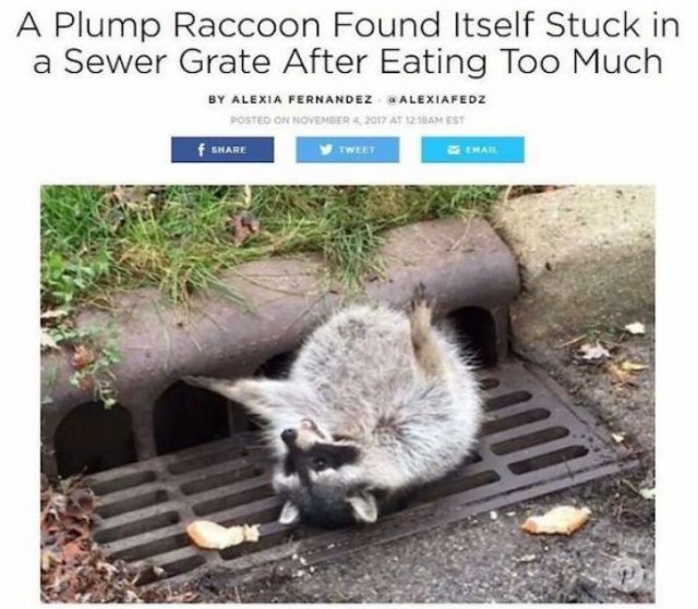 Funny News Headlines (43 pics)