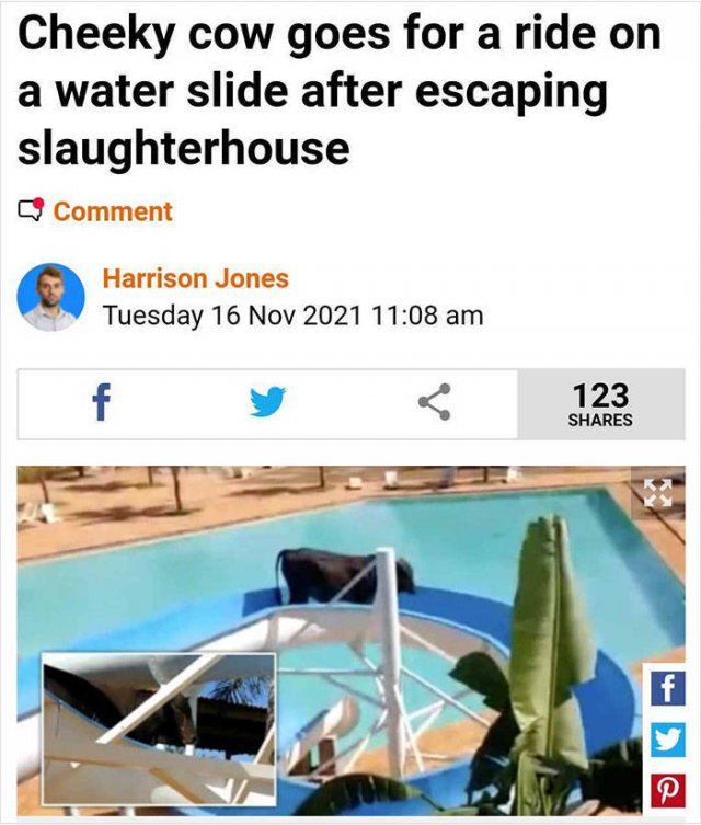 Funny News Headlines (43 pics)