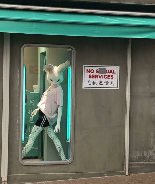 Amazing Mannequins (47 pics)