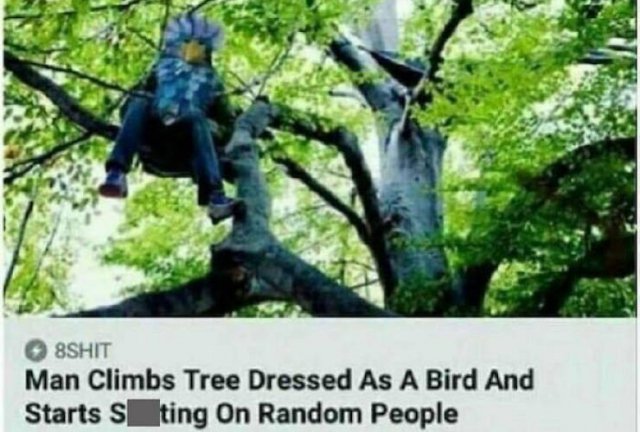 Funny News Headlines (43 pics)
