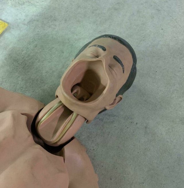 Amazing Mannequins (47 pics)