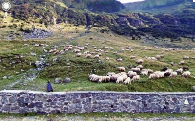 Wierd Finds From 'Google Maps' (48 pics)