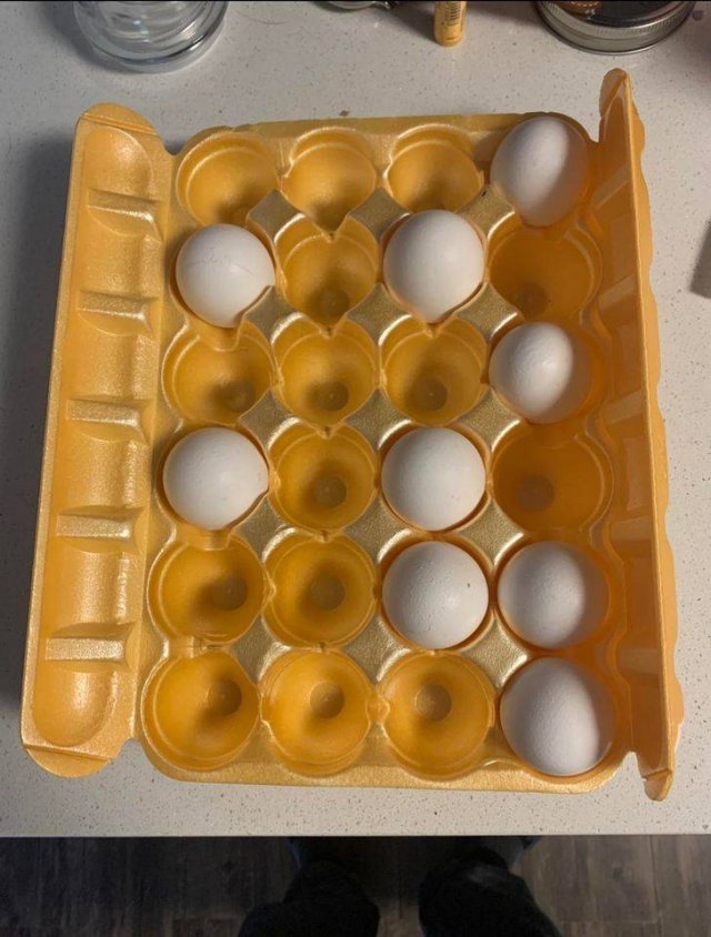 Worst Roommates (19 pics)