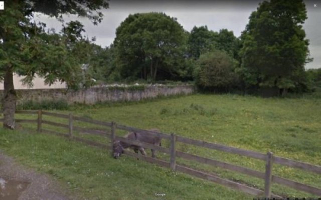 Wierd Finds From 'Google Maps' (48 pics)
